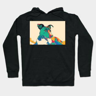 colorful dog Hoodie